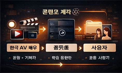 한국 AV 콘텐츠 구조 설명 이미지