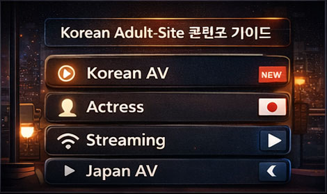 한국 AV 플랫폼 소개 이미지