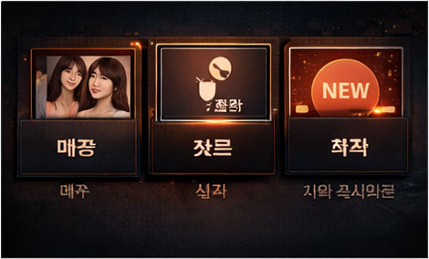 한국 AV 콘텐츠 구조: 배우/장르/분위기/신작 업데이트 기준으로 정리된 카테고리 인포그래픽