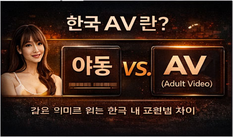 한국 AV 특징을 배우·장르·업데이트·스트리밍 관점으로 정리한 이미지
