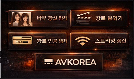 korean av streaming 이용 흐름(가입·성인 인증·로그인·스트리밍)을 정리한 이미지